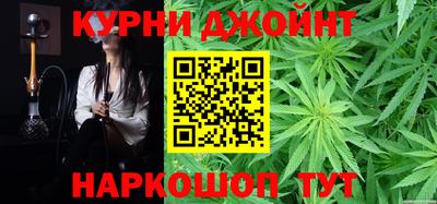 гашик Будённовск