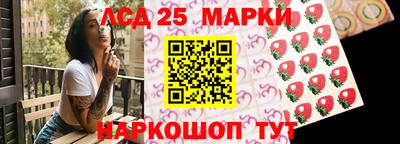 гашик Будённовск