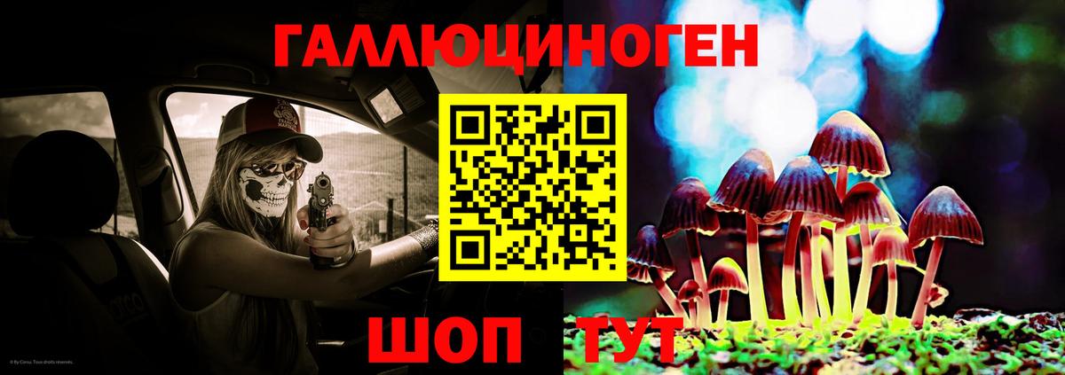 Псилоцибиновые грибы MAGIC MUSHROOMS  Псилоцибиновые грибы ЛСД  Вход с VPN  Среднеуральск 